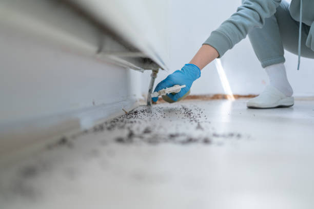 Best Bed Bug Extermination  in Durham, NC